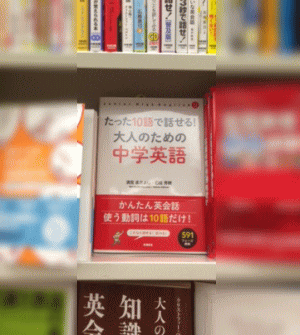 image419.gif