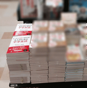 image511.gif