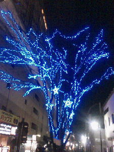 池のや4