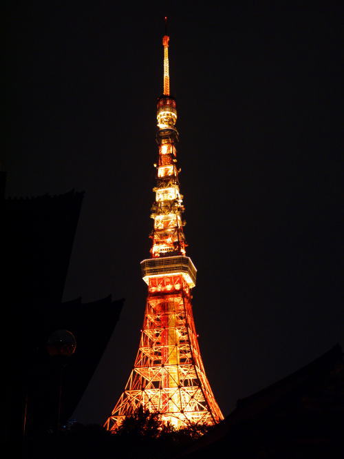 夜の東京タワーの写真１